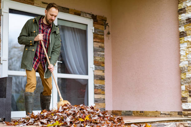 Best Yard Cleanup Services  in North Adams, MA